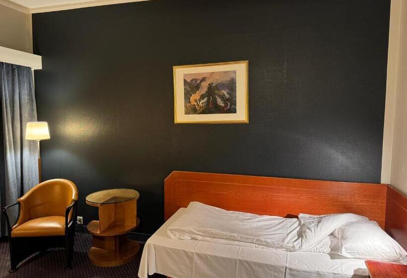 اتاق استاندارد یک نفره, Notodden