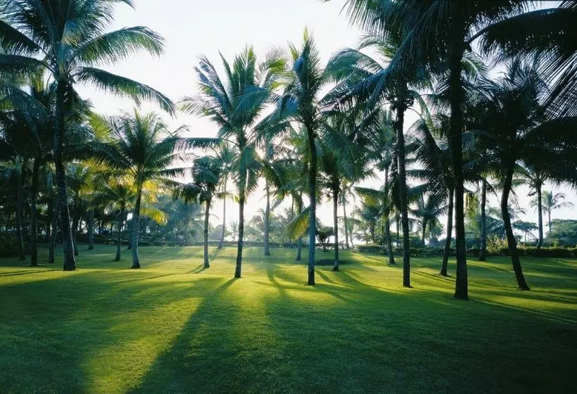 اتاق پرمیوم, Shangrila Mactan, Cebu