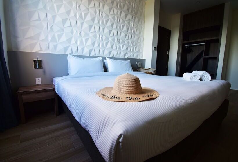 수피리어 룸, Adonis Cupecoy