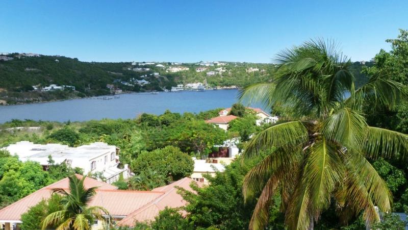 이그제큐티브 룸, Adonis Cupecoy