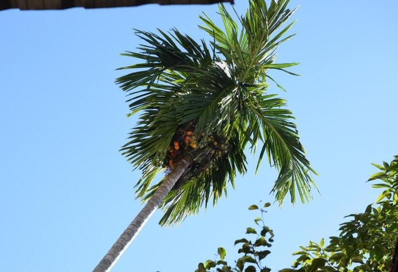 エコノミールーム, Coco S Guesthouse