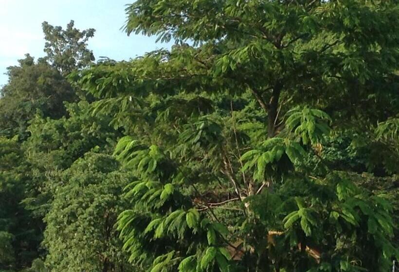 スーペリアファミリールーム, Coco S Guesthouse