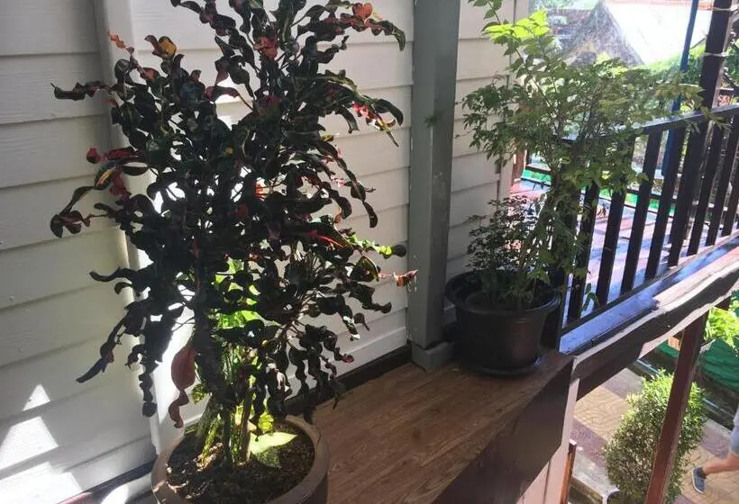 Quarto superior, Coco S Guesthouse
