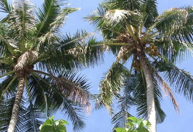 スーペリアファミリールーム, Coco S Guesthouse