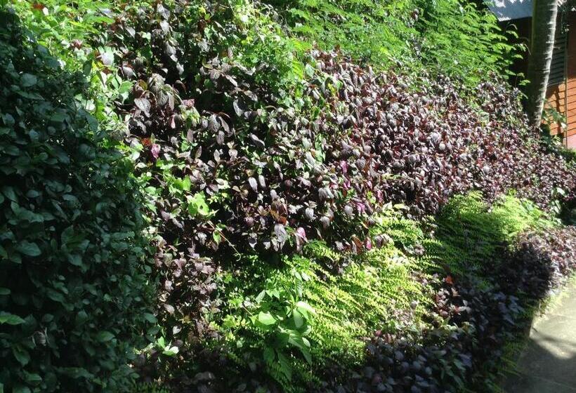 スーペリアファミリールーム, Coco S Guesthouse