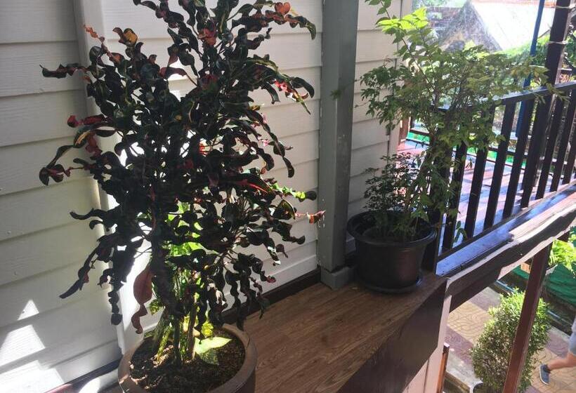 スタンダードトリプルルーム, Coco S Guesthouse