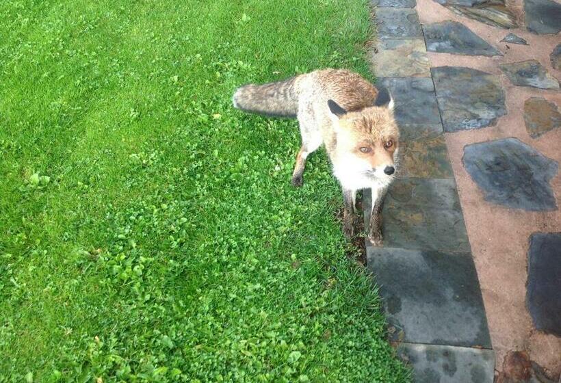 标准间, Casa Rural La Calera