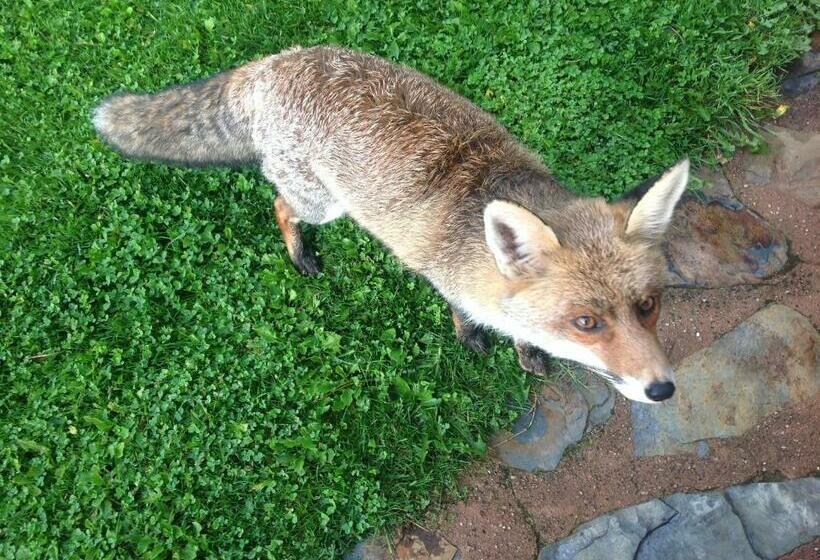 标准间, Casa Rural La Calera