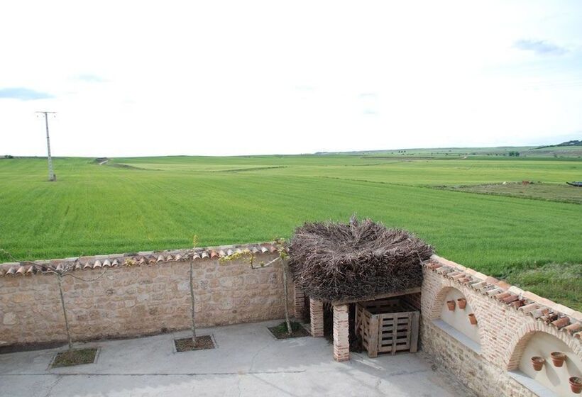 スタンダードルーム, Pago De Trascasas