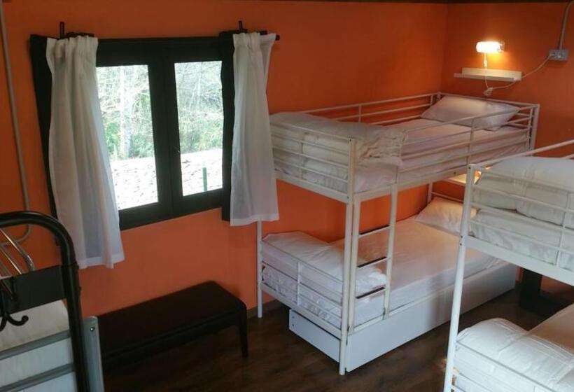 اتاق خانوادگی, O Albergue   Hostel