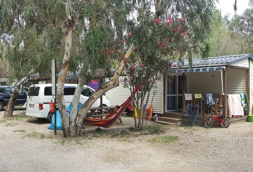 高级洋房, Taiga Delta De L Ebre