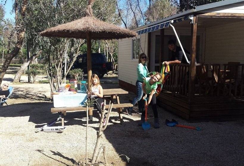 高级洋房, Taiga Delta De L Ebre