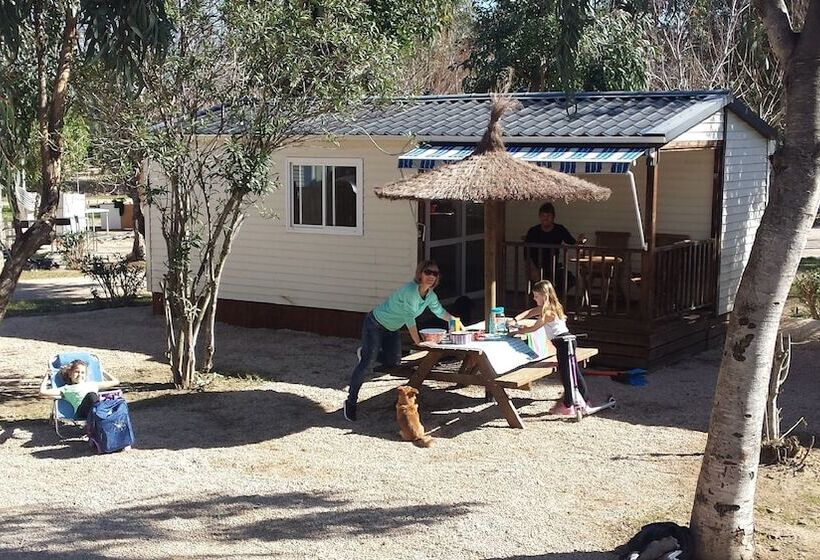 高级洋房, Taiga Delta De L Ebre