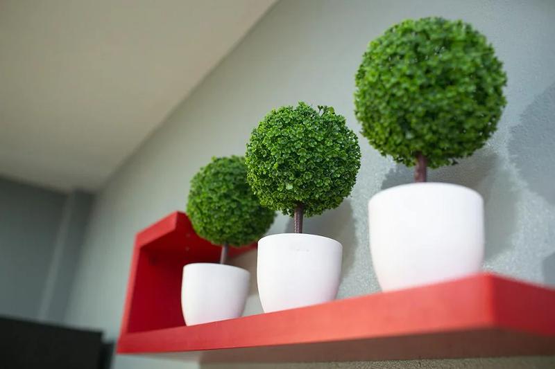 スイート, Phang Nga Guesthouse