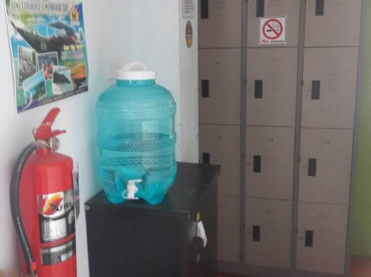 Pat in Cameră Comună, Star Dormitory