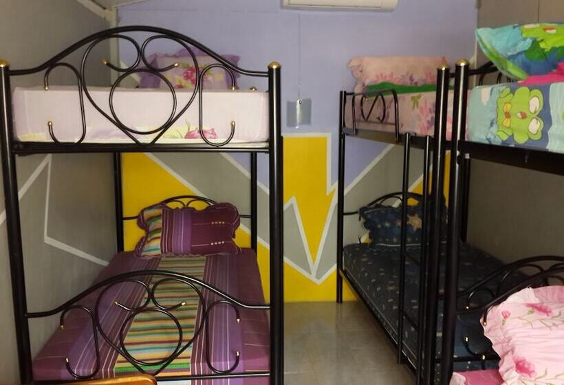 Pat in Cameră Comună, Star Dormitory