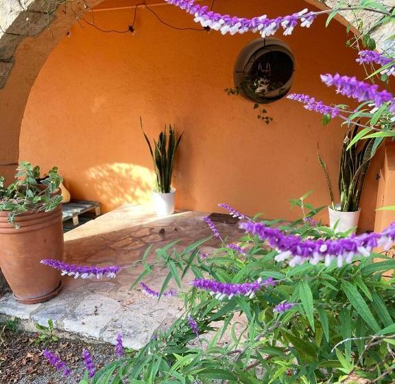 ガーデンビュースタンダードルーム, Lou Candelou