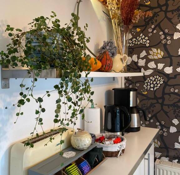 ３ベッドルームハウス, Lou Candelou