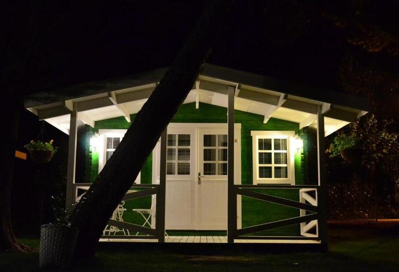 بانگلوی استاندارد, Naz Apart Cirali