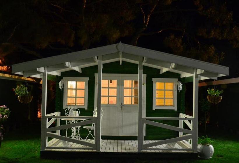 بانگلوی استاندارد, Naz Apart Cirali