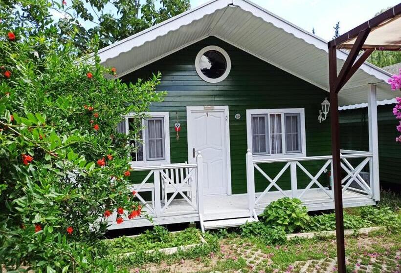 سوییت, Naz Apart Cirali