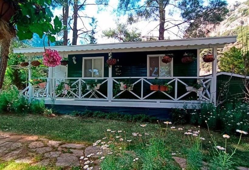 اتاق کلاسیک سه تخته, Naz Apart Cirali