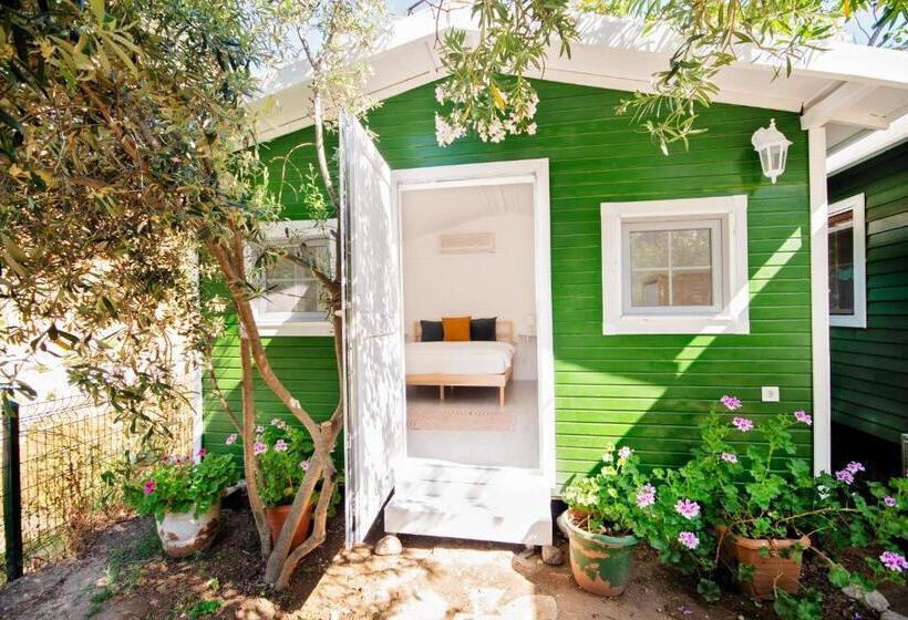 اتاق استاندارد, Naz Apart Cirali