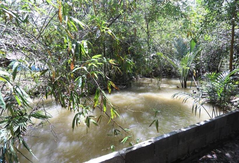 Бунгало Стандарт, Mata Guesthouse