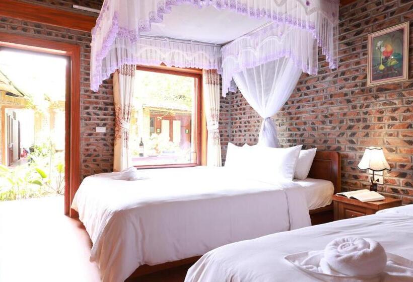 Triplo Executivo, Tam Coc Moonlight Bungalow