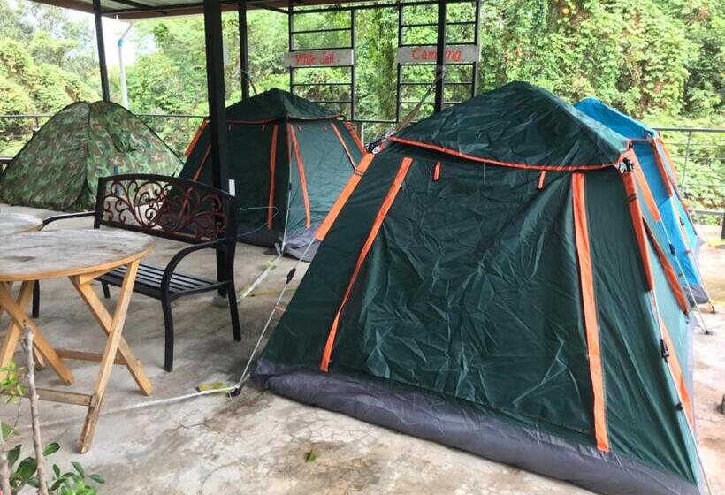 چادر با خدمات رفاهی استاندارد, White Jail At Koh Tao Hostel
