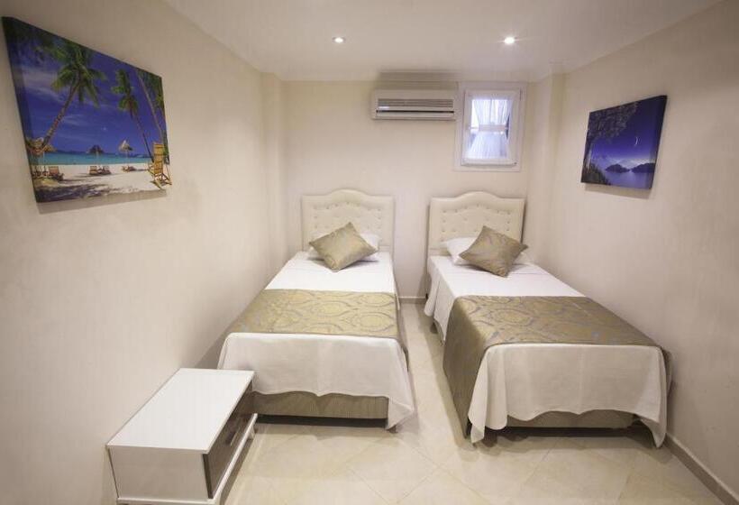 شقة ديلوكس غرفة نوم واحدة, Anatolian Apartments