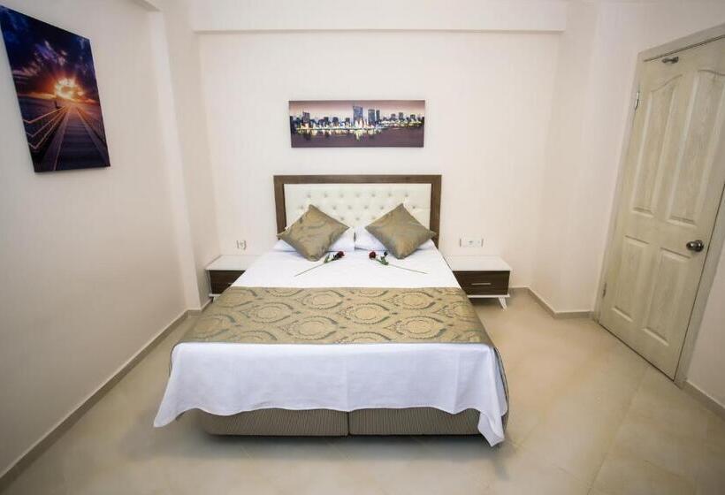 شقة ديلوكس غرفة نوم واحدة, Anatolian Apartments