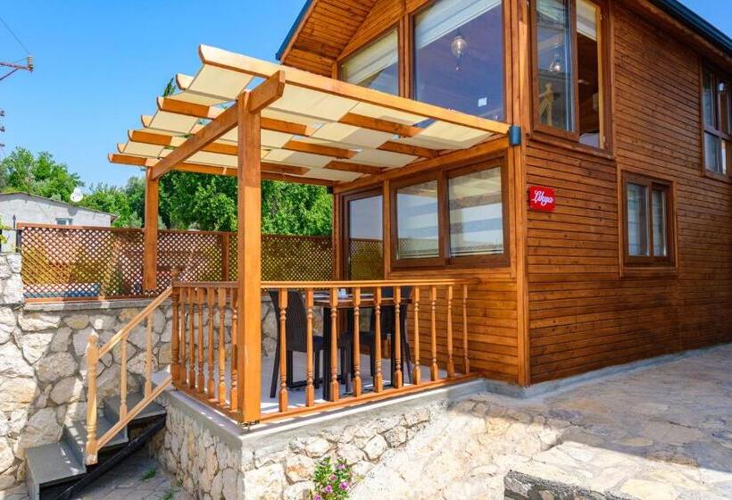 بنجلو قياسى مطلّ علي الحديقة, Anatolian Apartments