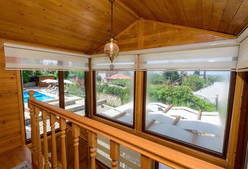 بنجلو قياسى مطلّ علي الحديقة, Anatolian Apartments