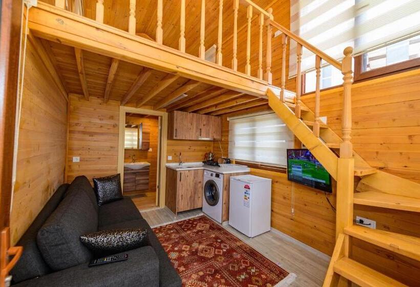 بنجلو قياسى مطلّ علي الحديقة, Anatolian Apartments