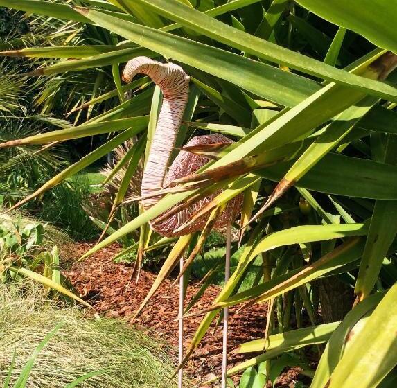 آپارتمان 1 خوابه همکف, Chambres D Hôte ô Bois Plage