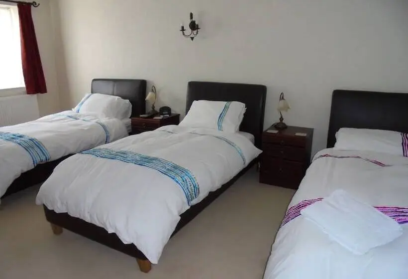 Standard Kolmen Hengen Huone, Avondale House