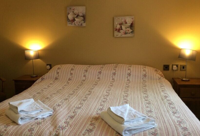 Номер Стандарт, The Fountain Oldwood