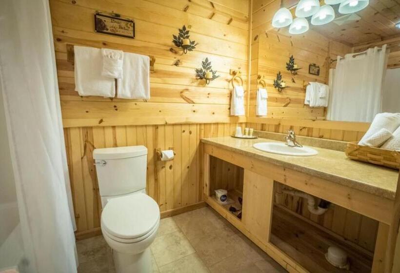 חדר סטנדרט, Nacoochee Valley Rentals