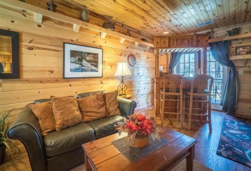 غرفة قياسية, Nacoochee Valley Rentals