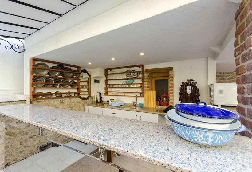 آپارتمان 1 خوابه با چشم‌انداز باغ, Dutlu Konak