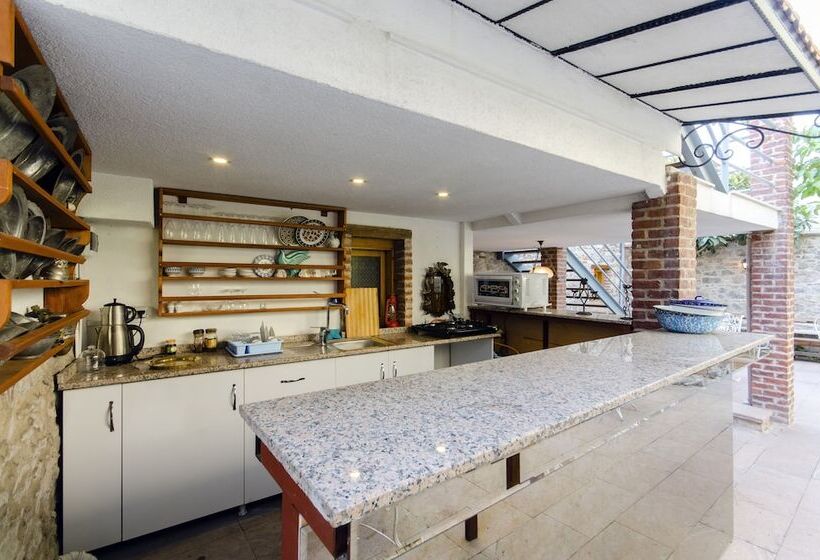 آپارتمان 1 خوابه با چشم‌انداز باغ, Dutlu Konak