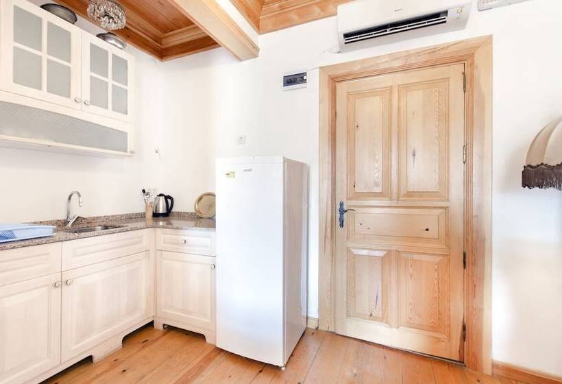 آپارتمان 1 خوابه با چشم‌انداز باغ, Dutlu Konak