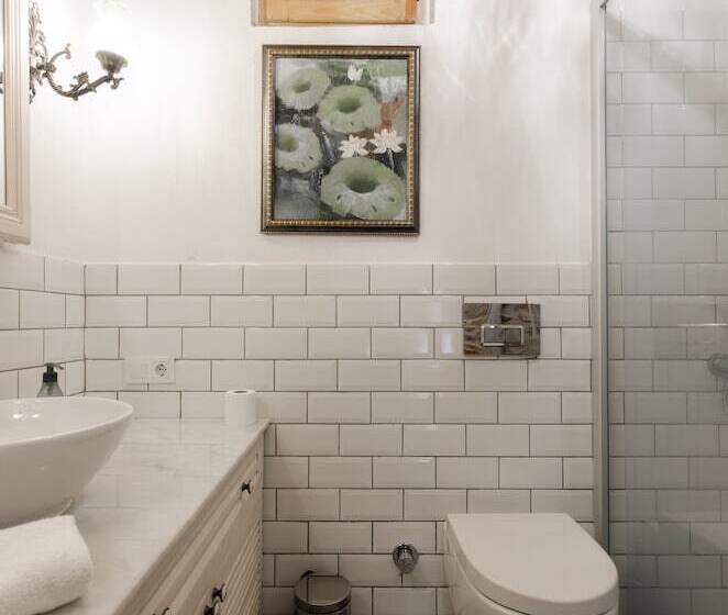 آپارتمان 1 خوابه با چشم‌انداز باغ, Dutlu Konak