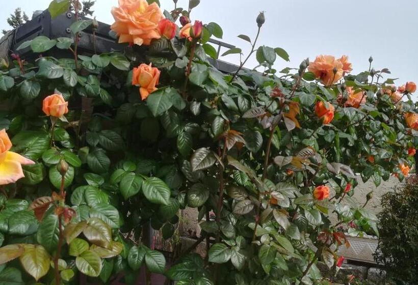 스위트, Mas De La Coucourde