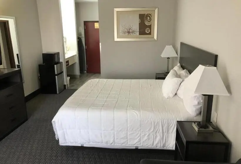 キングサイズベッドのスタンダードルーム, Lea County Inn