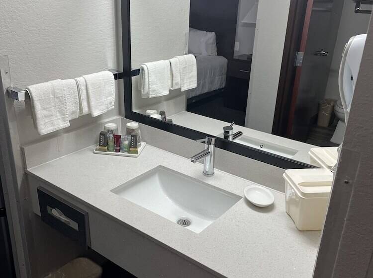 身障者適用シングルルーム, Lea County Inn