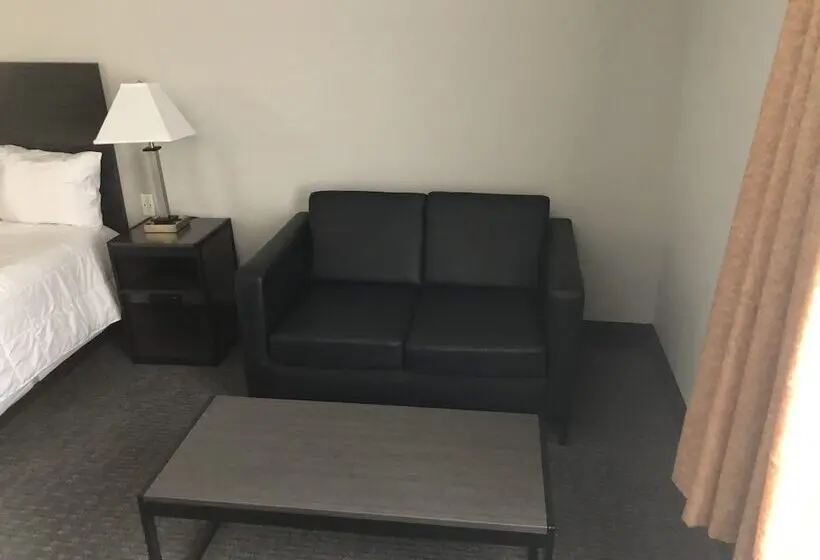身障者適用シングルルーム, Lea County Inn