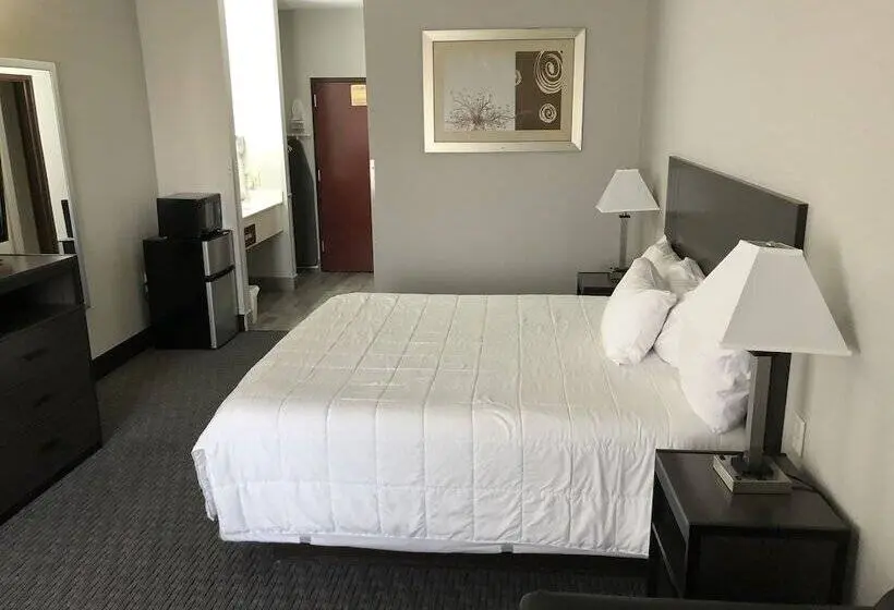 身障者適用シングルルーム, Lea County Inn