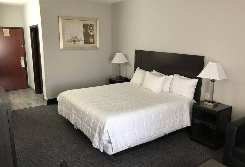 身障者適用シングルルーム, Lea County Inn